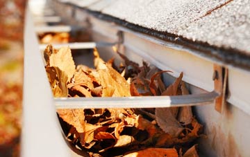 Chislehurst West gutter cleaning companies